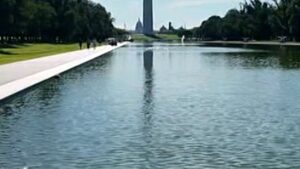 Why the Reflecting Pool in Washington DC looks green | NCS Politics – NCS