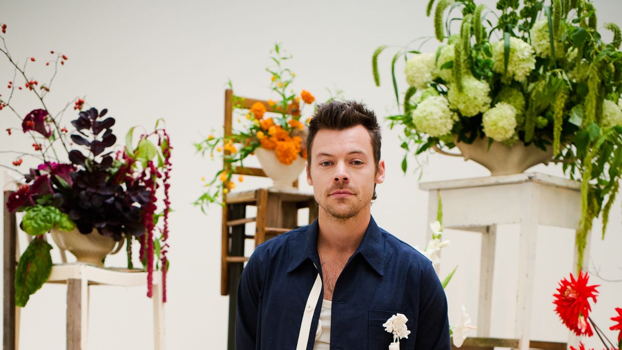 Harry Styles’ London: the cafés, parks and restaurants he loves