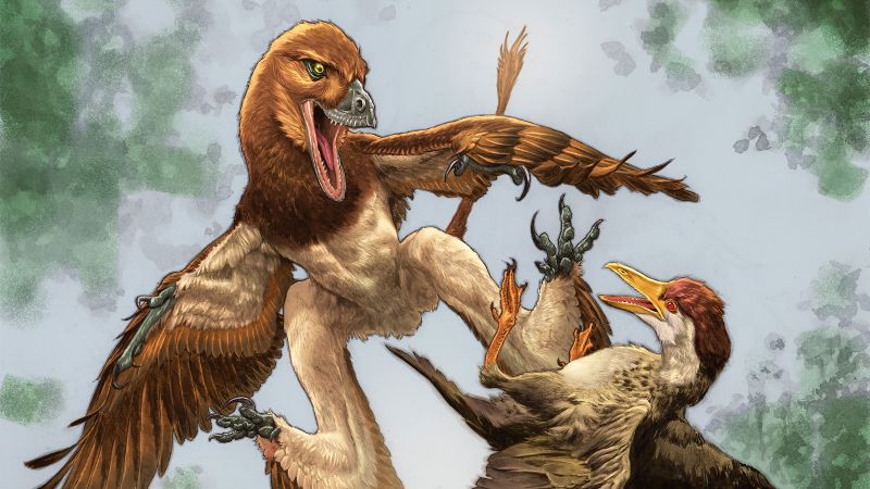 Fossil belonged to a gliding dinosaur that hunted birds