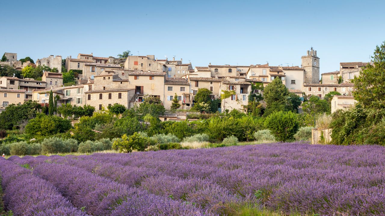 The secret to seeing Provence's lavender fields at their peak
