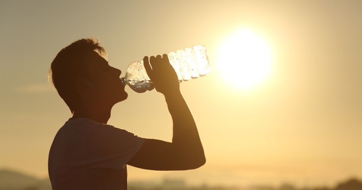 Article Template: Your Health Matters