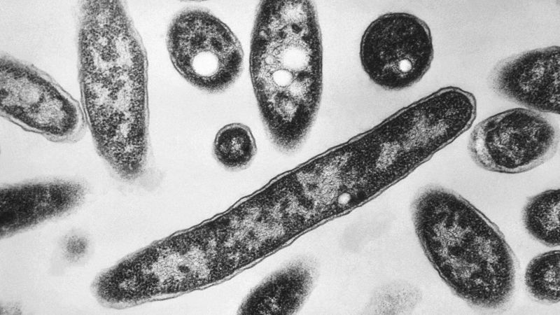 Dozens of New York cooling towers test positive for Legionnaires’ bacteria as outbreak reaches 60 cases