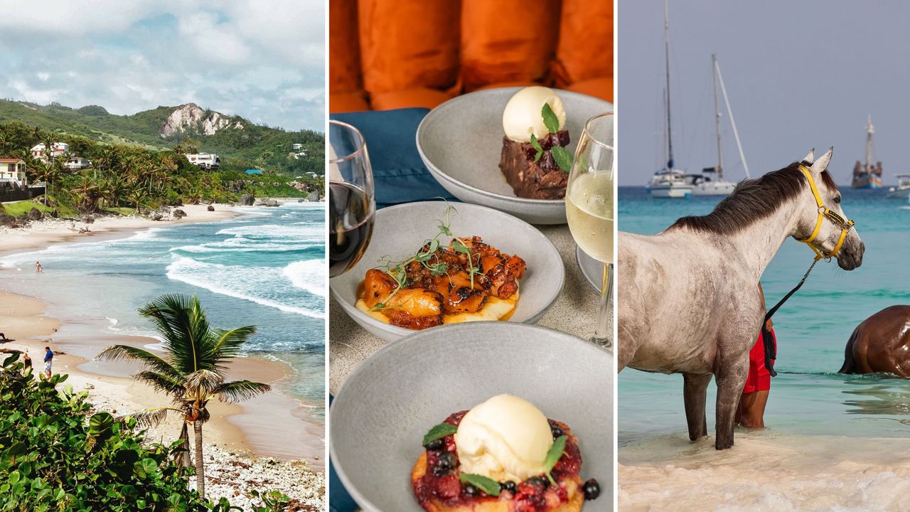 The Best Things to Do in Barbados, and Where to Stay and Eat While You're There