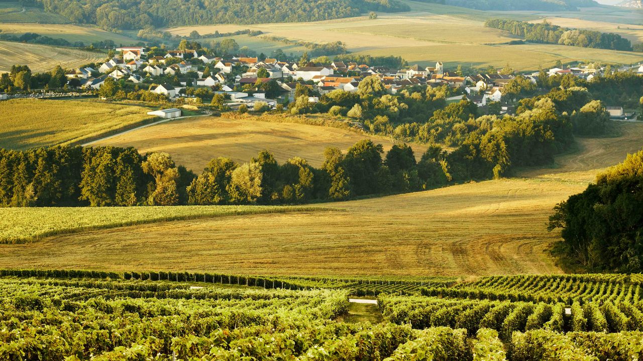 The Art of Winetasting on a Honeymoon in Champagne