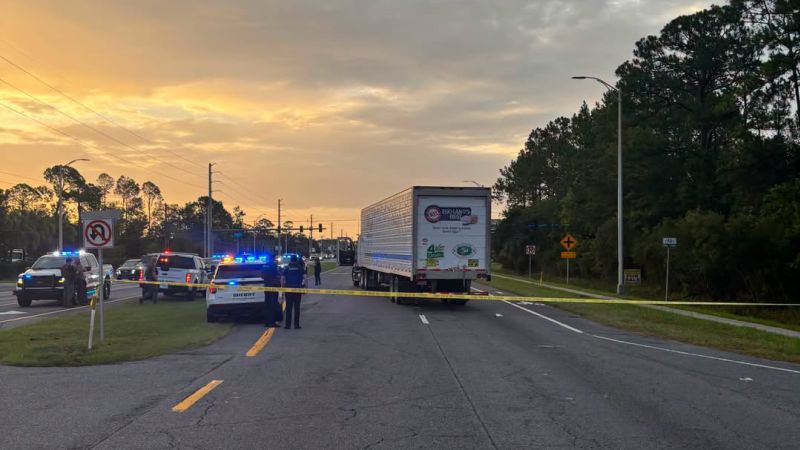 Person fleeing immigration agents in Florida fatally struck by vehicle, officials say