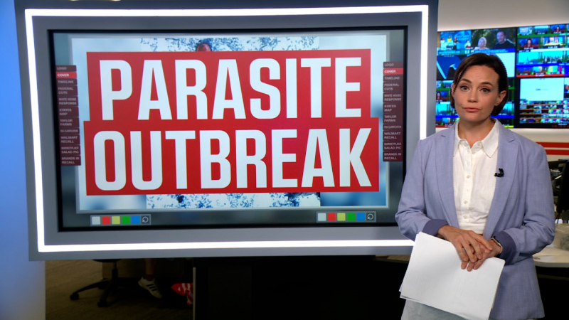 Trump’s funding cuts created ‘the perfect storm’ that slowed the government’s cyclosporiasis response