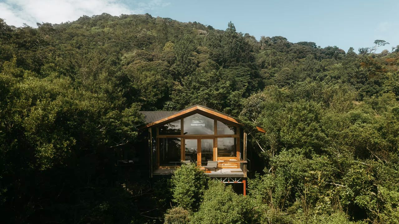 Sleep Among the Trees at These Idyllic Tree House Airbnbs Around the World