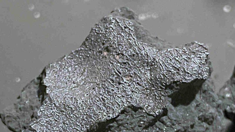 Rare meteorite provides snapshot of early solar system