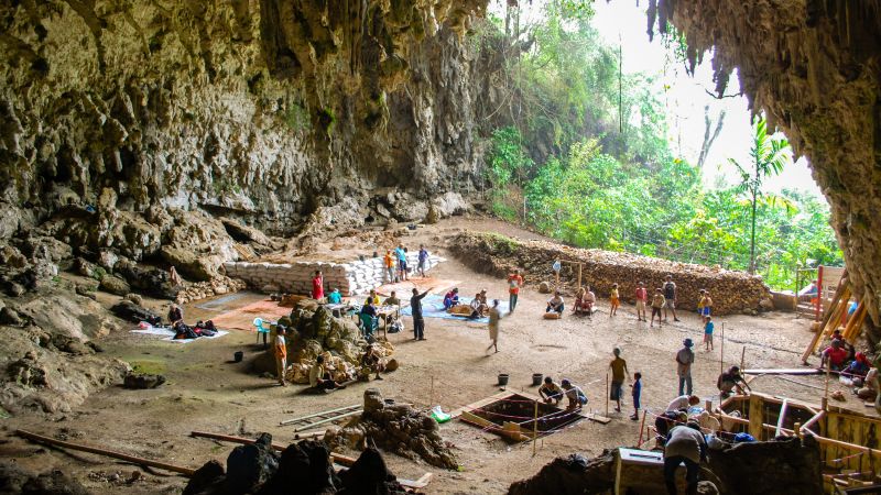 Hobbit-like human relative likely didn’t wield fire or hunt
