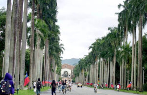 College enrollment shows slump – Taipei Times